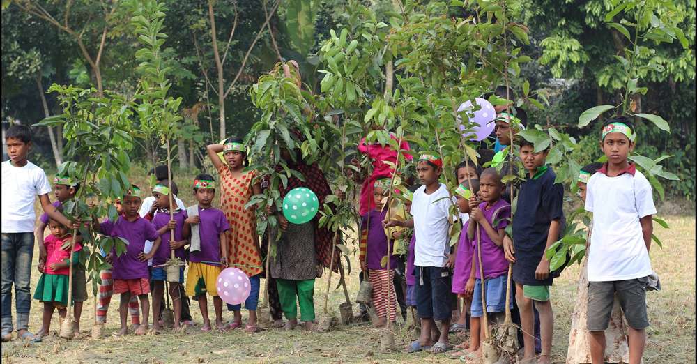 Gift tree saplings to children