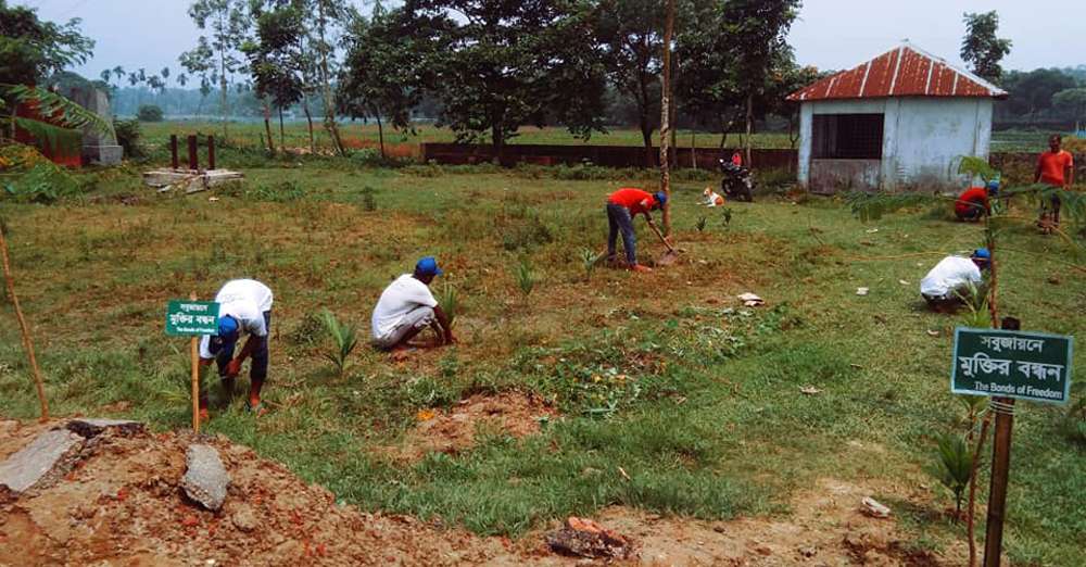 Planting trees in  Central Crematorium From Atharabari