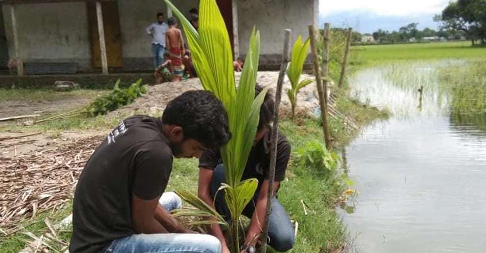 ‍Tree planting on Mourning Day